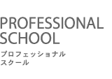 プロフェッショナル・スクール（Professional School）